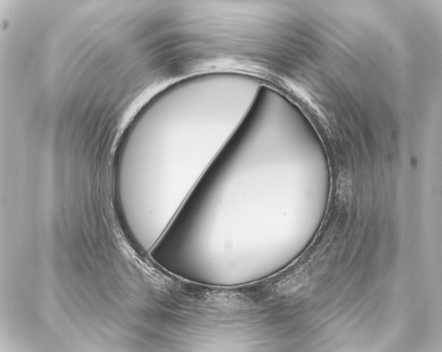 X0000088161323200705150916
