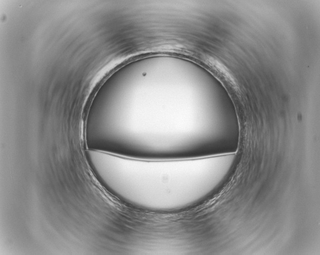 X0000088161324200705150916
