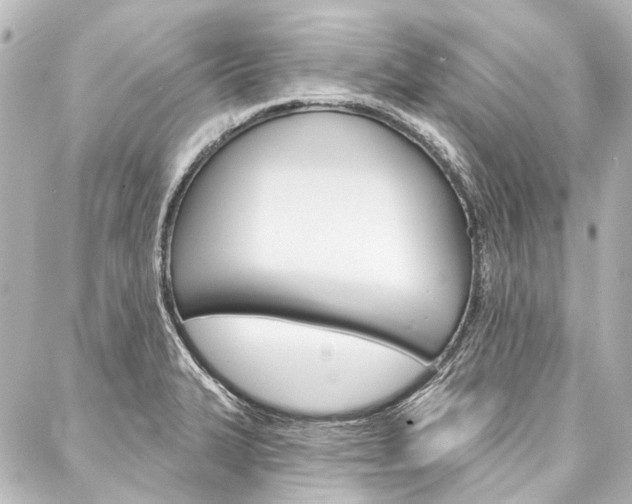 X0000088161327200705150916