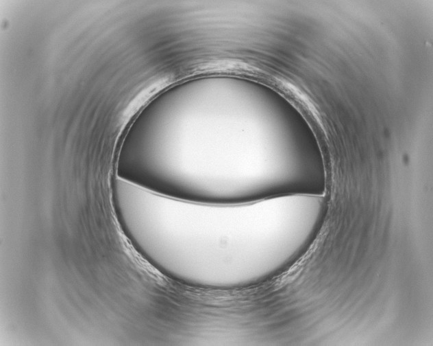 X0000088161330200705150916