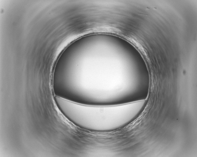 X0000088161342200705150916