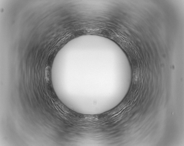 X0000088161346200705150915