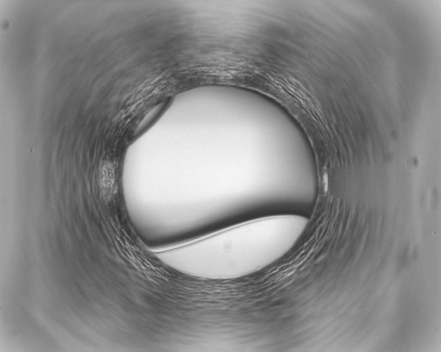 X0000088161347200705150915