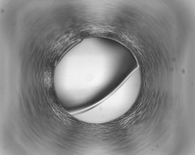 X0000088161348200705150915