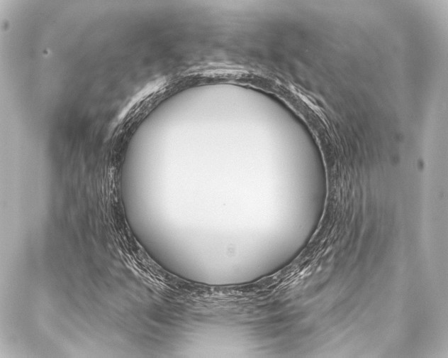 X0000088161351200705150915