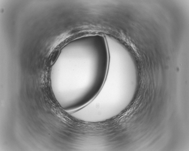 X0000088161352200705150915