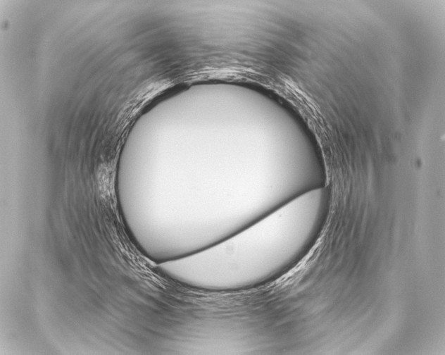 X0000088161353200705150915