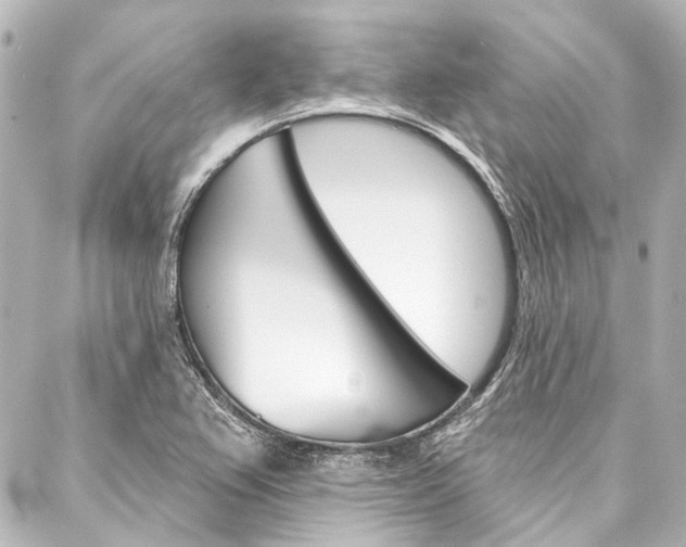 X0000088161367200705150915