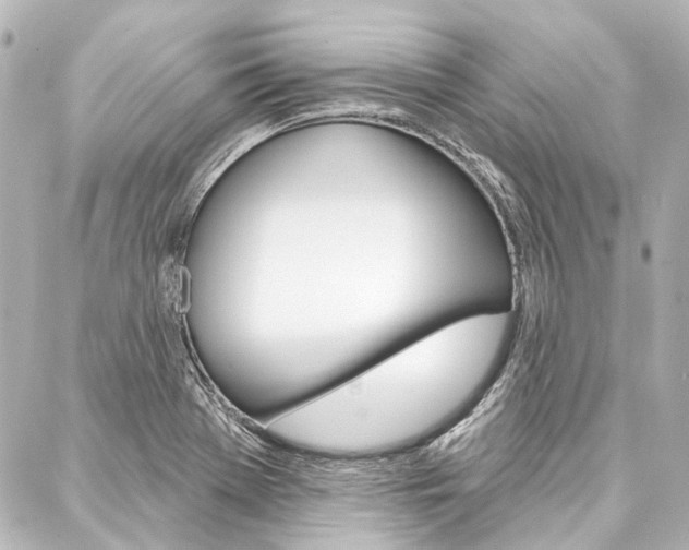 X0000088161369200705150915