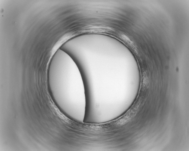 X0000088161370200705150915