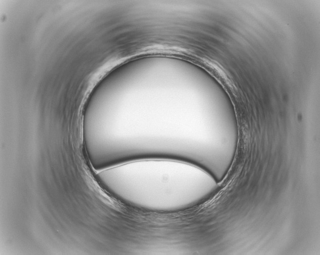 X0000088161371200705150915