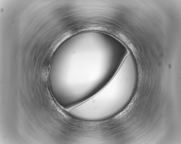 X0000088161377200705150915