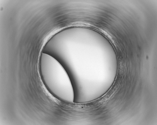 X0000088161379200705150915
