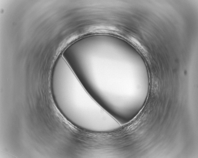X0000088161384200705150915