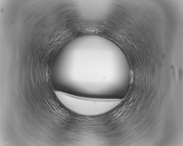 X0000088161394200705150914