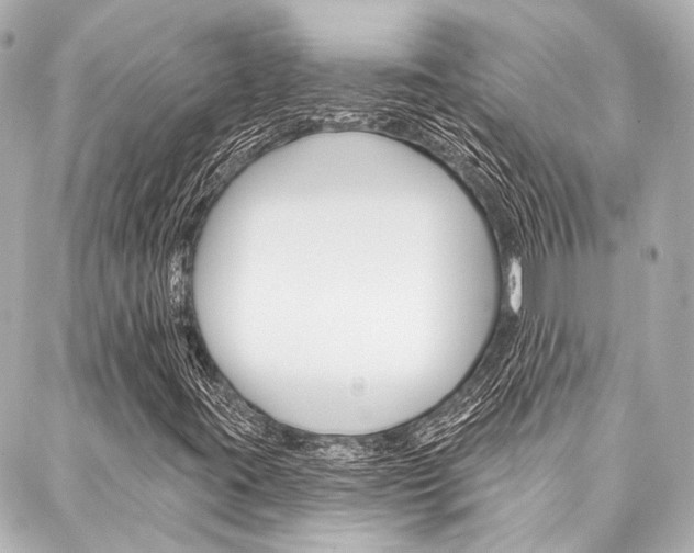 X0000088161395200705150914