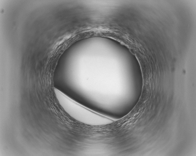 X0000088161398200705150914