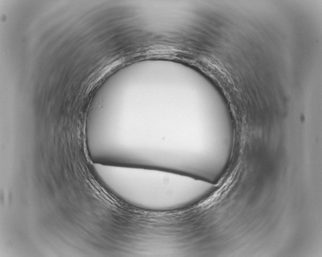 X0000088161401200705150914
