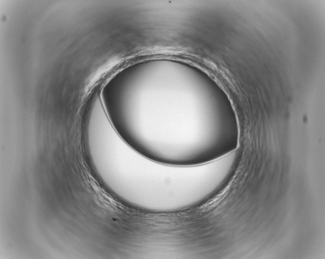 X0000088161406200705150914
