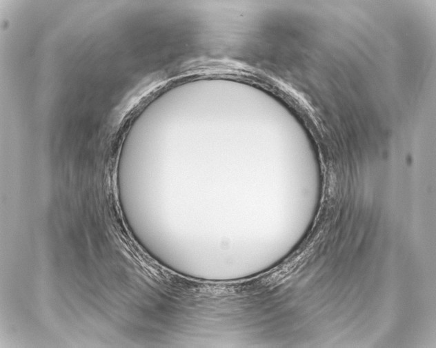 X0000088161407200705150914