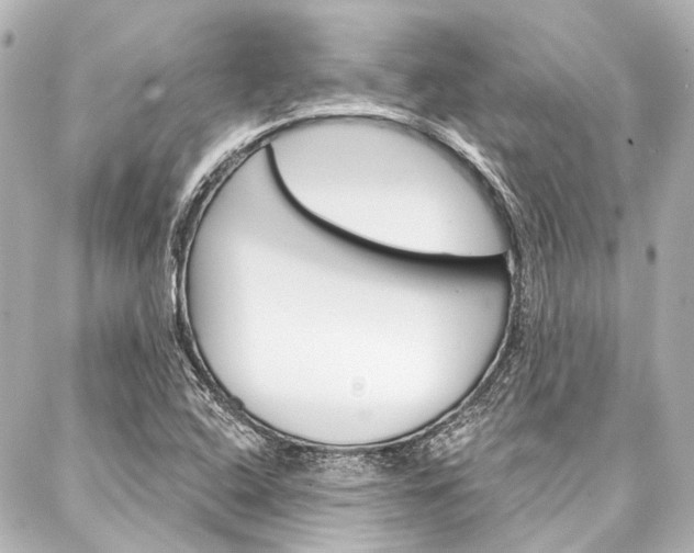 X0000088161408200705150914