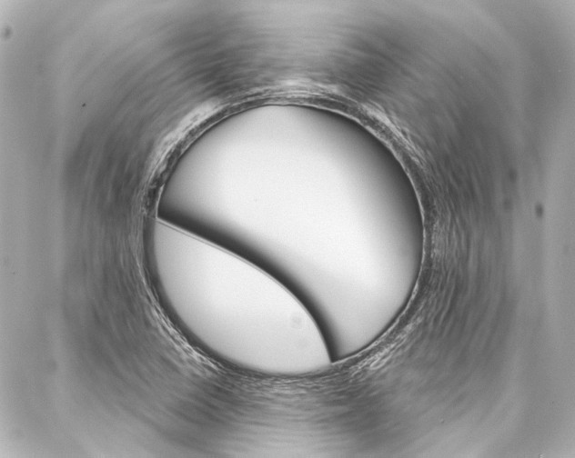 X0000088161410200705150914