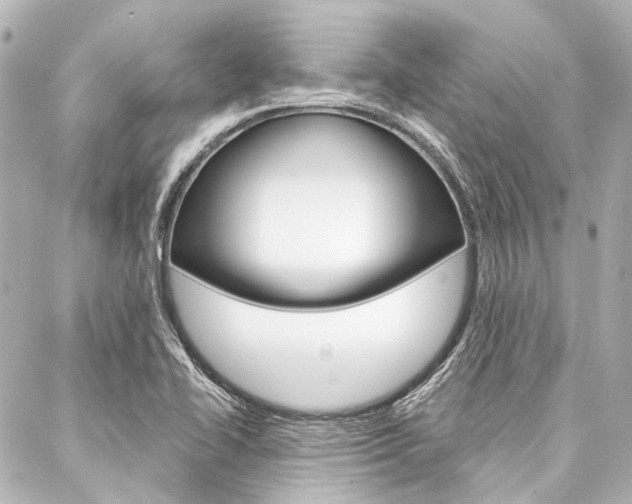 X0000088161414200705150914