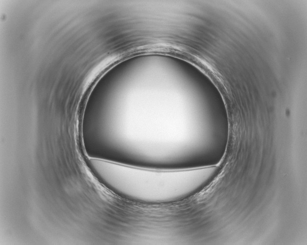 X0000088161418200705150914