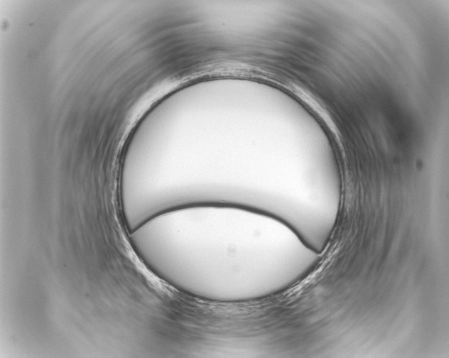 X0000088161437200705150914