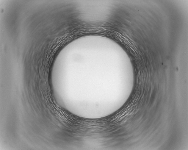 X0000088161441200705150914