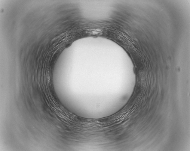 X0000088161442200705150914