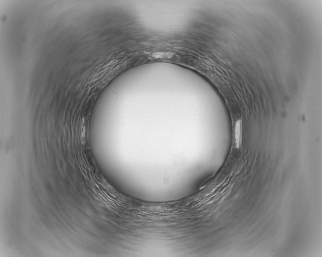 X0000088161443200705150914