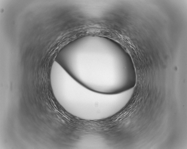 X0000088161445200705150914