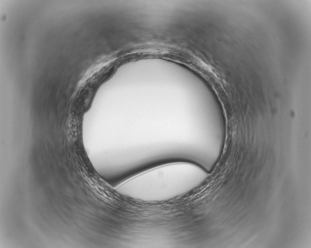 X0000088161448200705150914