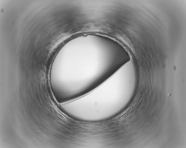 X0000088161452200705150914