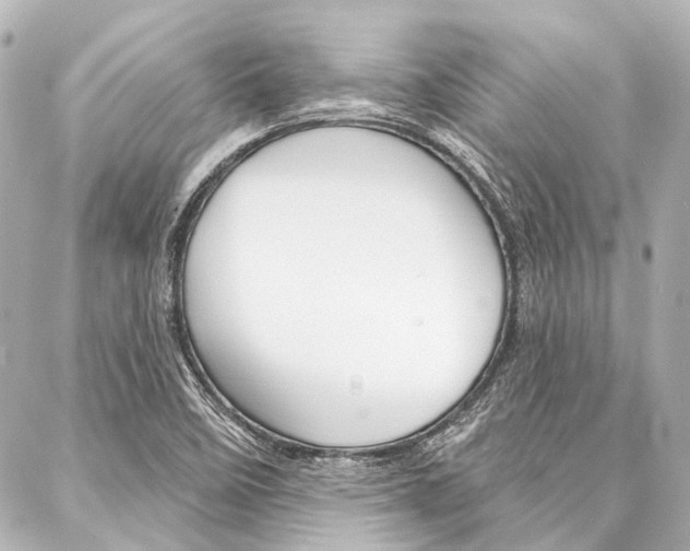 X0000088161458200705150913