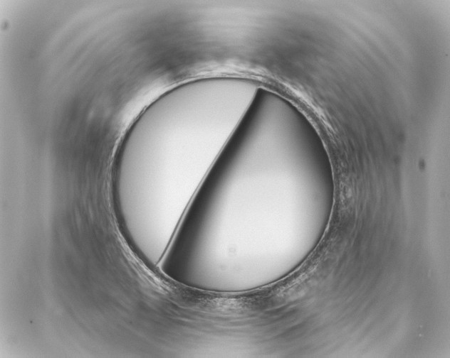 X0000088161463200705150913