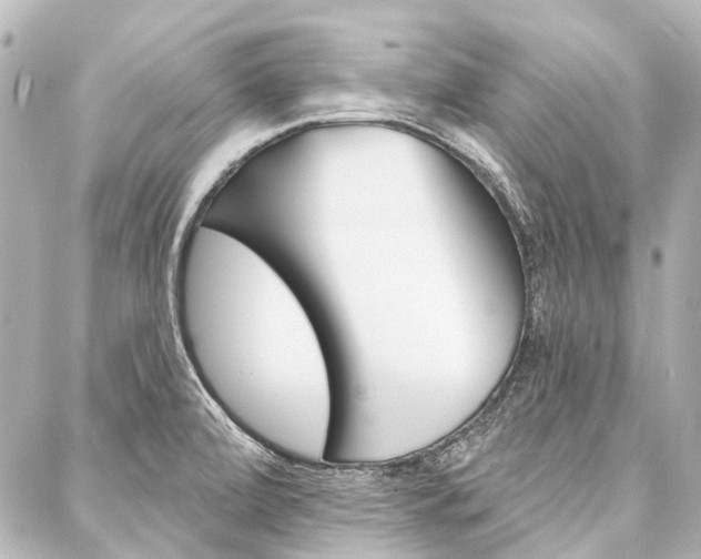 X0000088161472200705150913