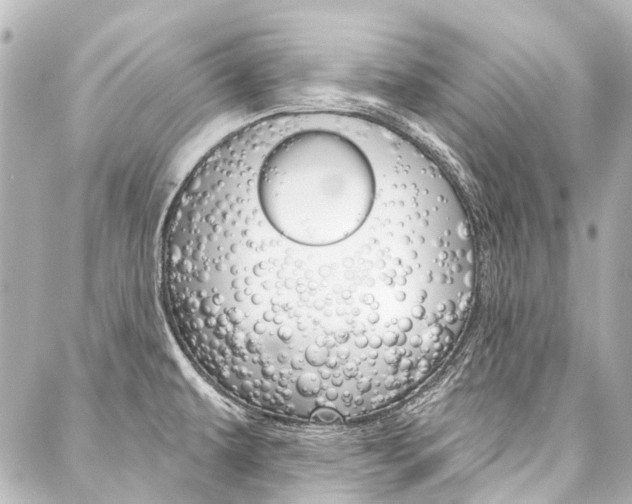 X0000088161479200705150913