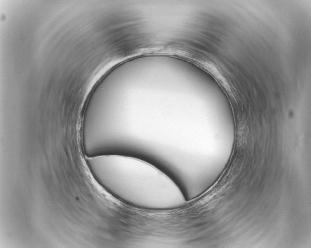 X0000088161484200705150913