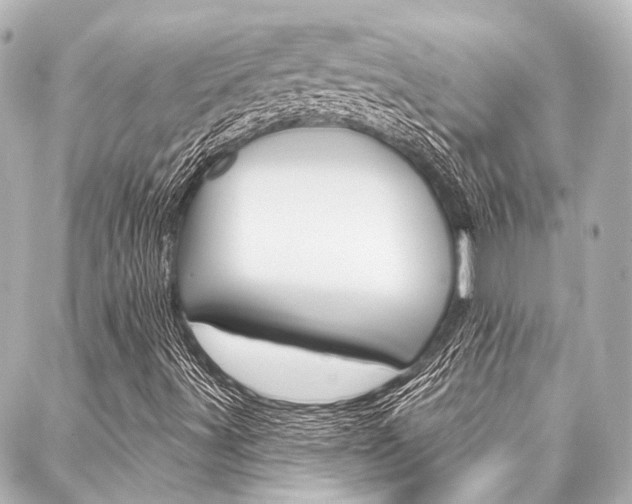 X0000088161491200705150912