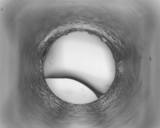 X0000088161495200705150912