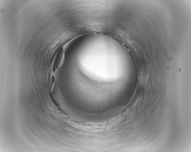 X0000088160027200705151129