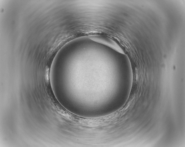 X0000088160041200705151128