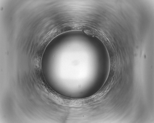 X0000088160044200705151128
