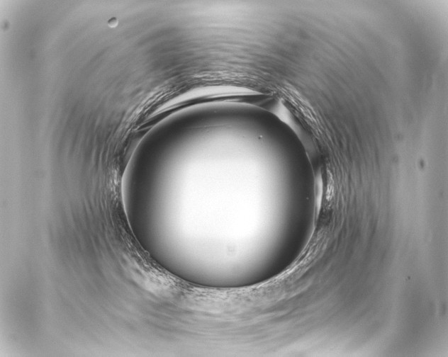 X0000088160045200705151128