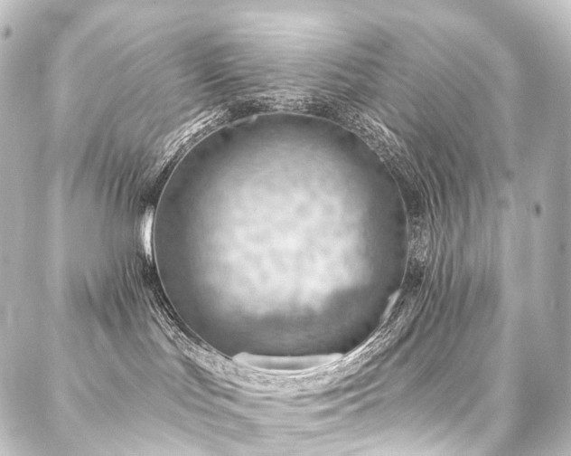 X0000088160047200705151128