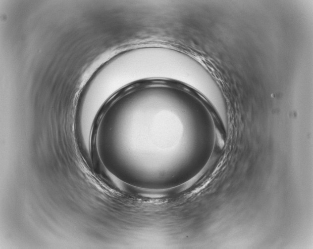 X0000088160056200705151128