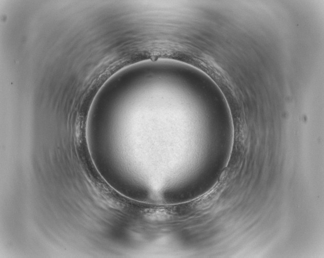 X0000088160074200705151128