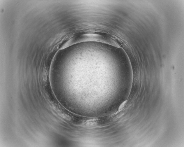 X0000088160078200705151128